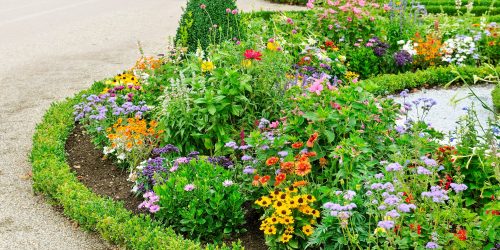 Landscaping Company, Landscaping Service, Plant Installation, Rock Install, Mulch Install, Landscaper, Free Estimates Landscaping Company, Landscaping Service, Plant Installation, Rock Install, Mulch Install, Landscaper, Free Estimates
